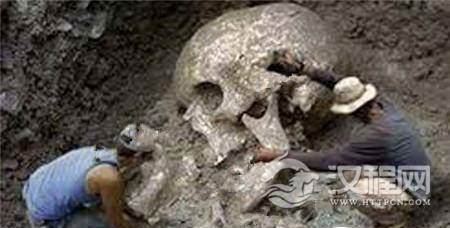 1485520934519371.jpg 1.jpg