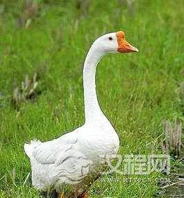 1521535404413454.png image.png