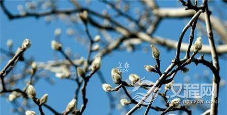 1485161349190016.jpg 3_副本.jpg