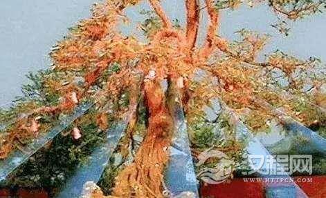 1535428098965906.png image.png