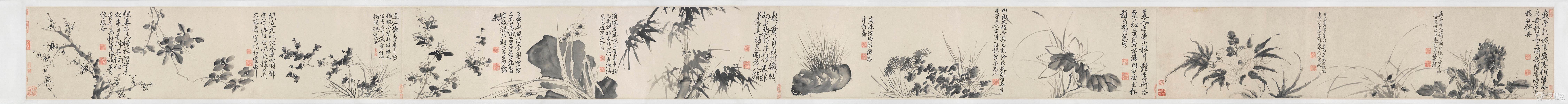徐渭画选 墨葡萄图