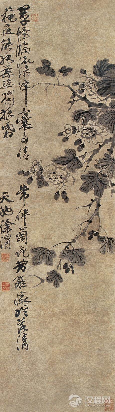 徐渭画选 墨葡萄图