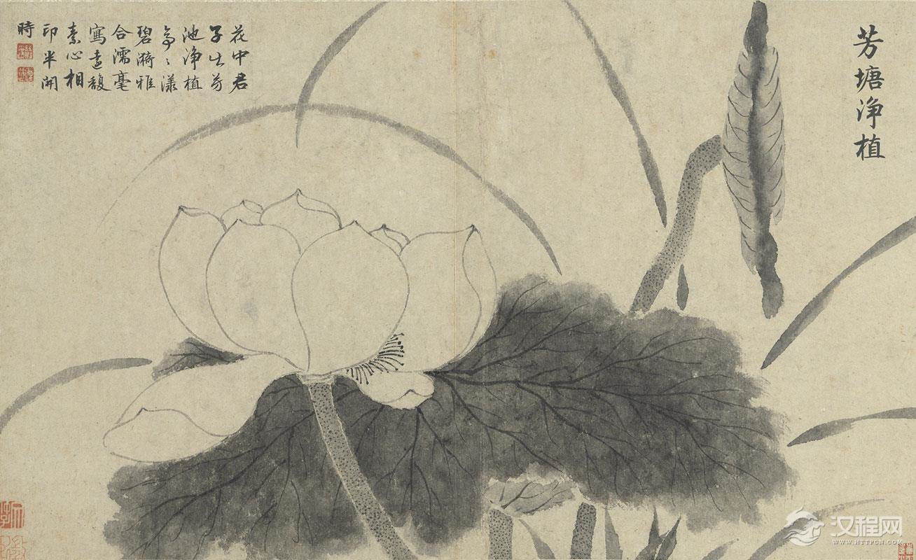 明 文徵明 花卉 册 台北故宫博物院藏