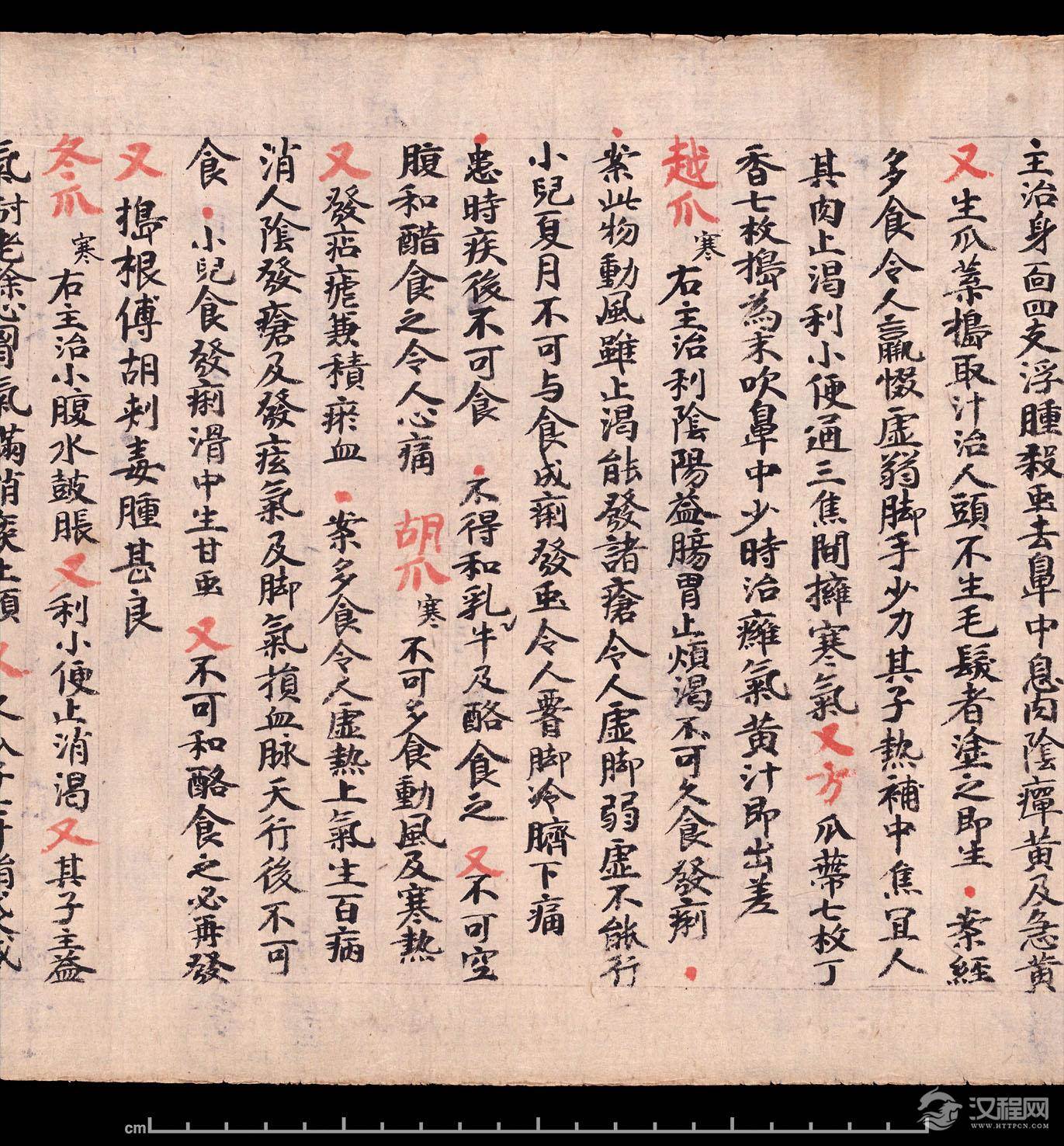 敦煌《食疗本草》残卷 纸本,卷轴 - 老排长 - 老排长(6660409)