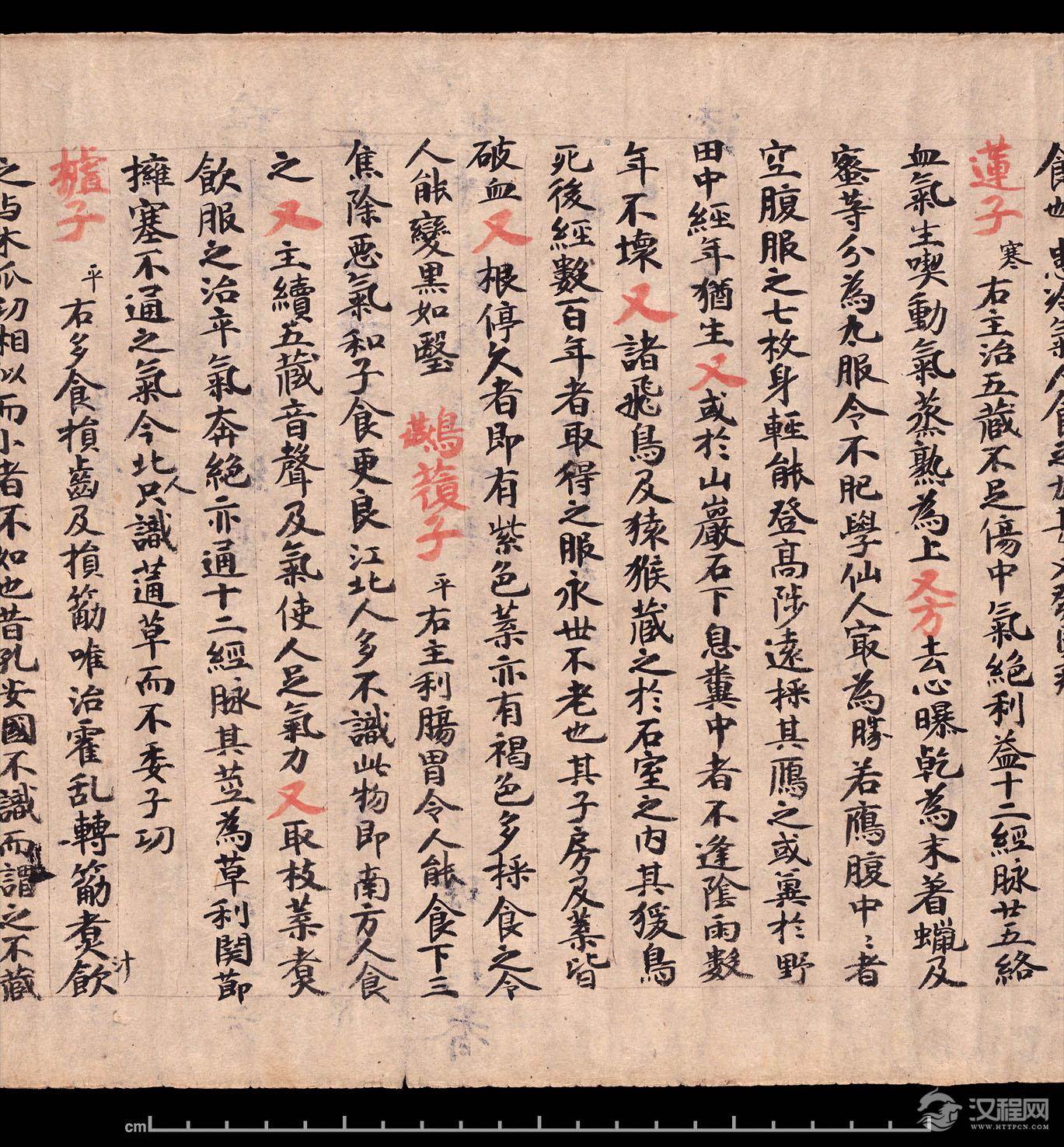 敦煌《食疗本草》残卷 纸本,卷轴 - 老排长 - 老排长(6660409)