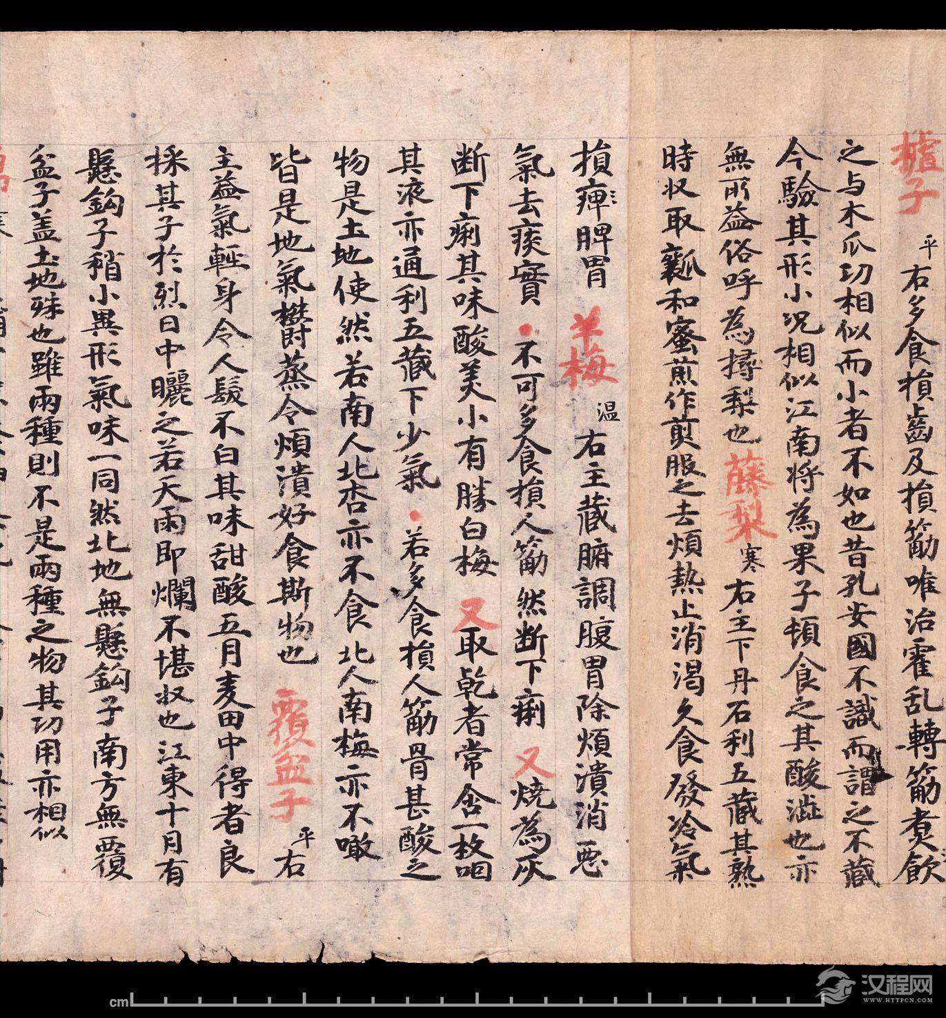 敦煌《食疗本草》残卷 纸本,卷轴 - 老排长 - 老排长(6660409)