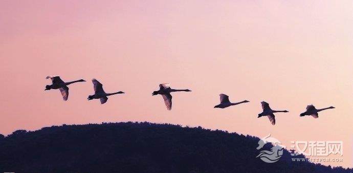 音乐知识:协奏曲(Concerto)介绍