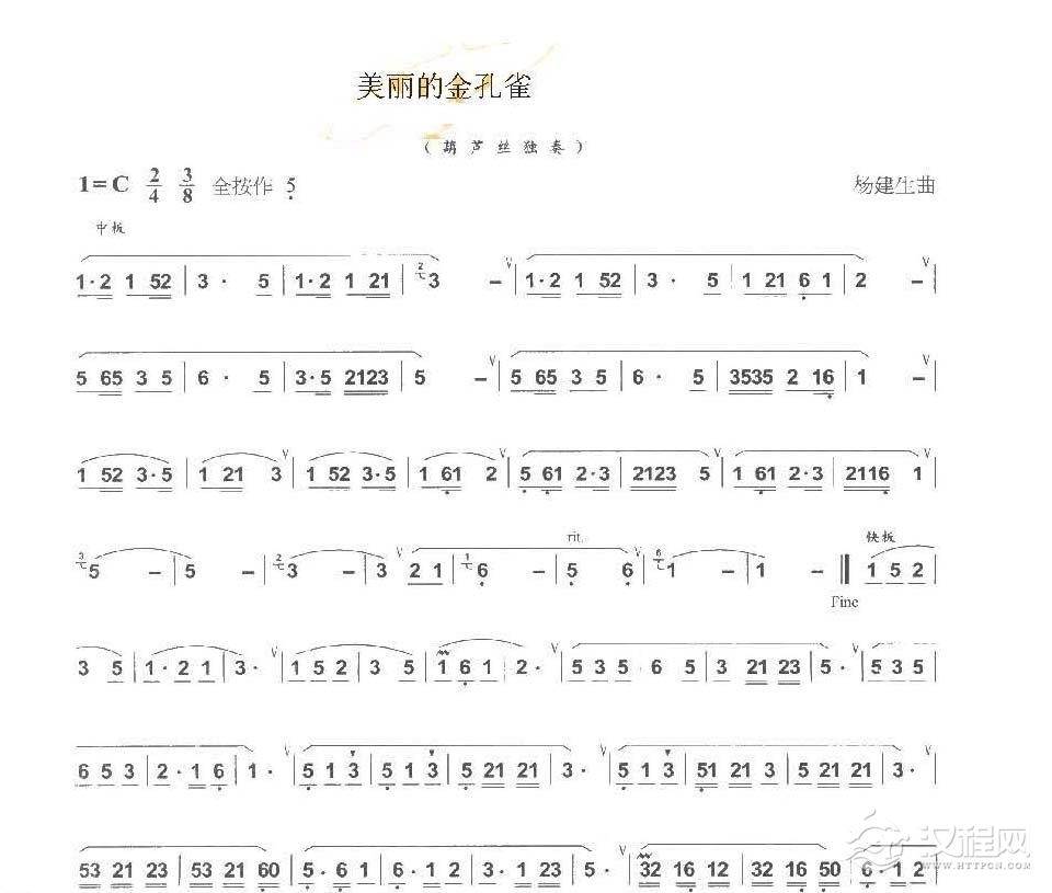 巴乌中高级乐曲《美丽的金孔雀》杨建生曲