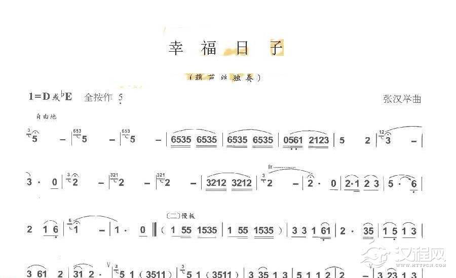巴乌中高级乐曲《幸福日子》张汉举曲