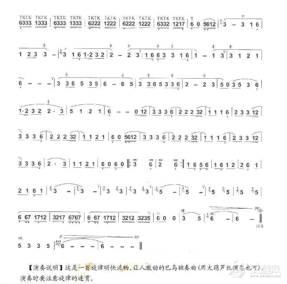 巴乌中高级乐曲《侗乡之夜》杨明曲