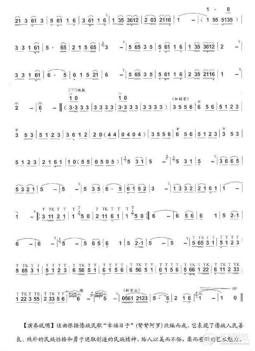 巴乌中高级乐曲《幸福日子》张汉举曲