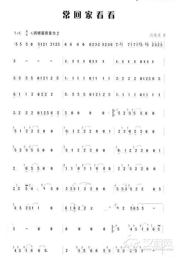 笛子流行金曲《常回家看看》