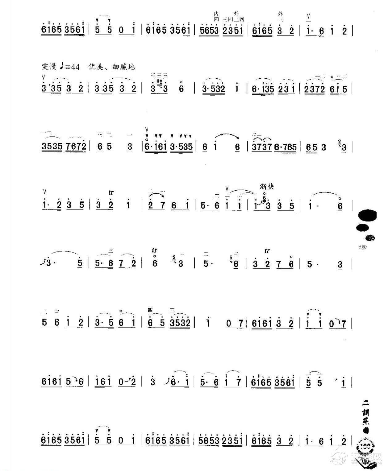 初级二胡演奏乐曲《向阳花》简单适合新手练习
