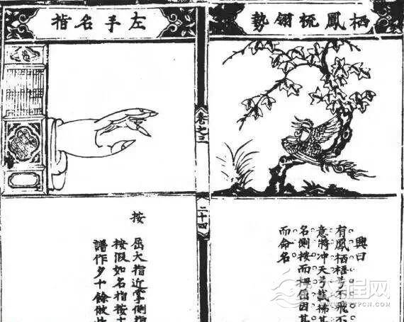 几种最基础的古琴指法图解