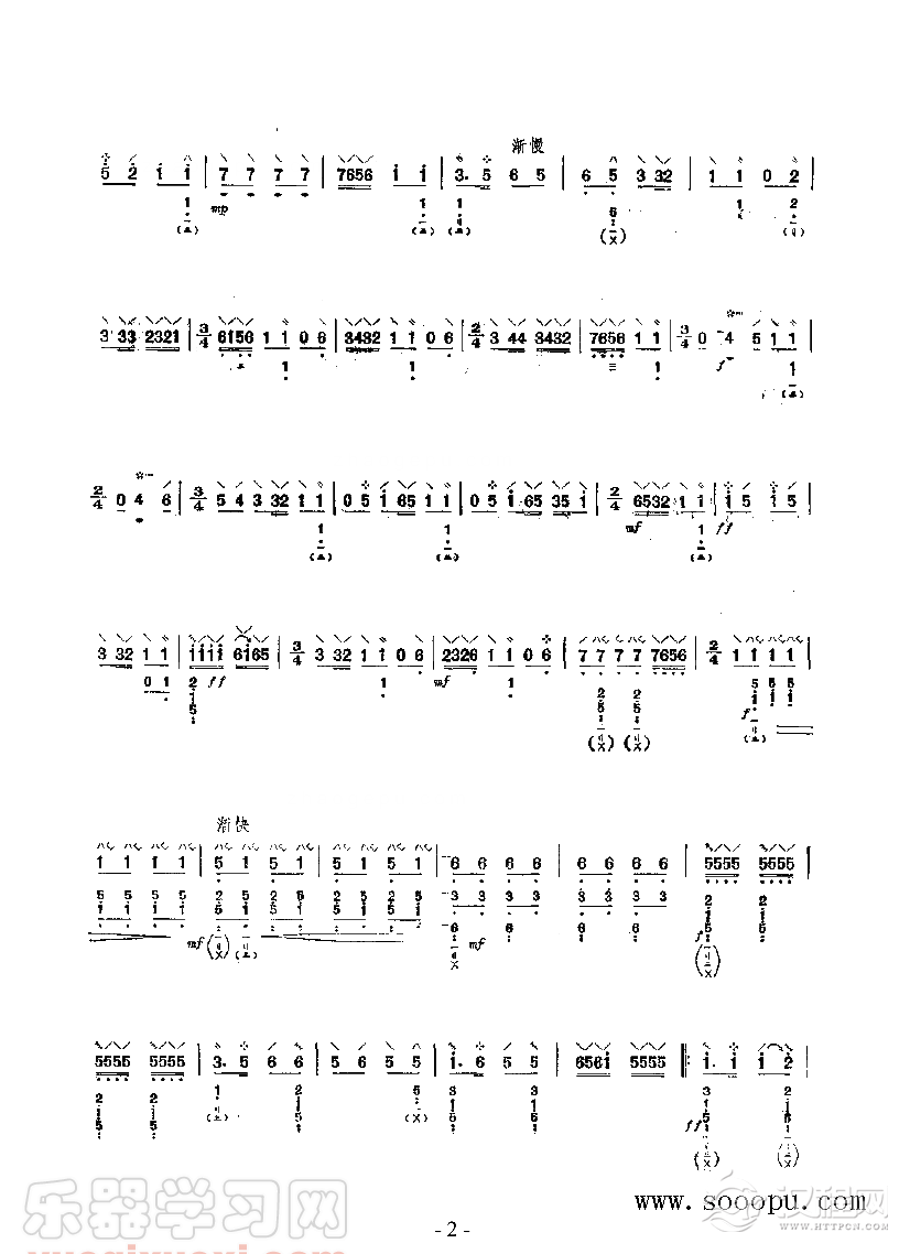 大起板 民乐类 琵琶