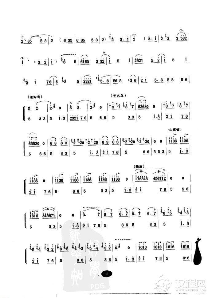 唢呐乐曲【百鸟朝凤】