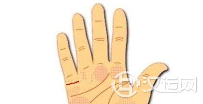 婚姻线向上扬的人婚后不用操心经济上的事情