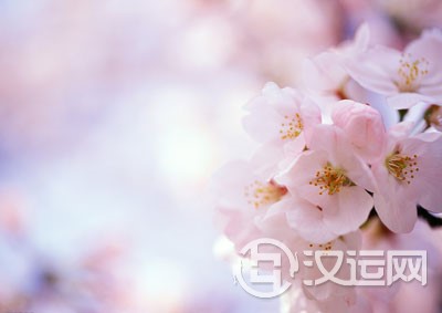 桃花运与桃花风水 桃花运与桃花风水