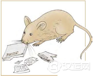 晋卦第四爻,爻辞:九四:晋如鼫鼠,贞厉。 晋卦第四爻,爻辞:九四:晋如鼫鼠,贞厉。