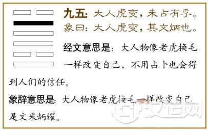 革卦第五爻,爻辞:九五:大人虎变,未占有孚。