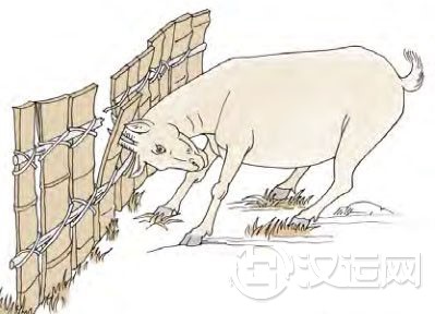 大壮卦第六爻,爻辞:上六:羝羊触藩,不能退 大壮卦第六爻,爻辞:上六:羝羊触藩,不能退