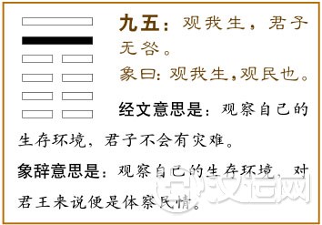 九五:观我生,君子无咎。
