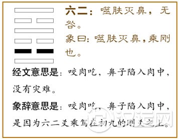 六二:噬肤灭鼻,无咎。