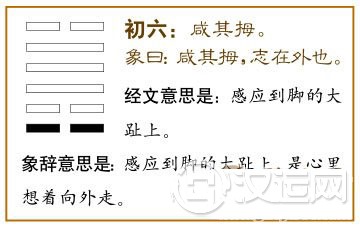 初六:咸其拇。爻辞释义
