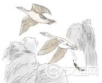 渐卦第六爻,爻辞:上九:鸿渐于陆,其羽可用 渐卦第六爻,爻辞:上九:鸿渐于陆,其羽可用