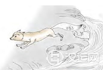 未济卦第一爻,爻辞:初六:濡其尾,吝。 未济卦第一爻,爻辞:初六:濡其尾,吝。