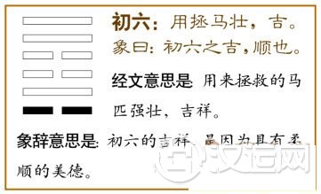 涣卦第一爻,爻辞:初六:用拯马壮,吉。
