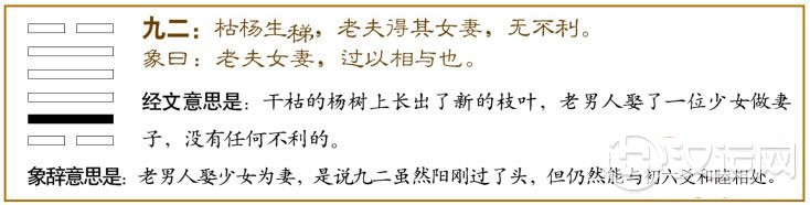 大过卦第二爻,爻辞:九二:枯杨生梯,老夫得其女妻,无不利。