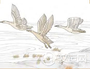 渐卦第一爻,爻辞:初六:鸿渐于干;小子厉, 渐卦第一爻,爻辞:初六:鸿渐于干;小子厉,