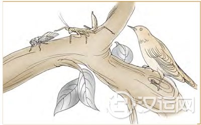 泰卦第四爻,爻辞:六四:翩翩不富,以其邻不 泰卦第四爻,爻辞:六四:翩翩不富,以其邻不