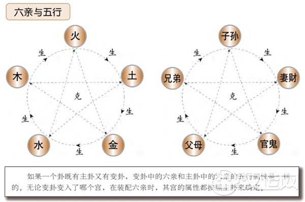 六爻中六亲与五行的相配