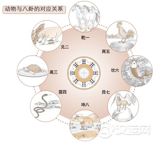 梅花易数占法:动物与静物的占法 梅花易数占法:动物与静物的占法