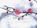 《梅花易数》占卜十八论:天时 《梅花易数》占卜十八论:天时