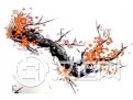 何为梅花易数及解释功名 何为梅花易数及解释功名