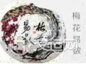 揭秘梅花易数的来源与演变 揭秘梅花易数的来源与演变