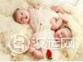 八字同却命不同的双胞胎 八字同却命不同的双胞胎