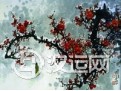 梅花易数会有哪些起卦方法呢 梅花易数会有哪些起卦方法呢