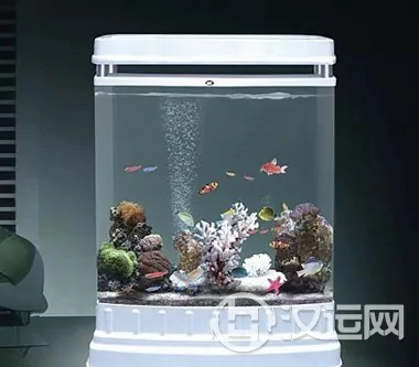 客厅摆放鱼缸时应注意什么
