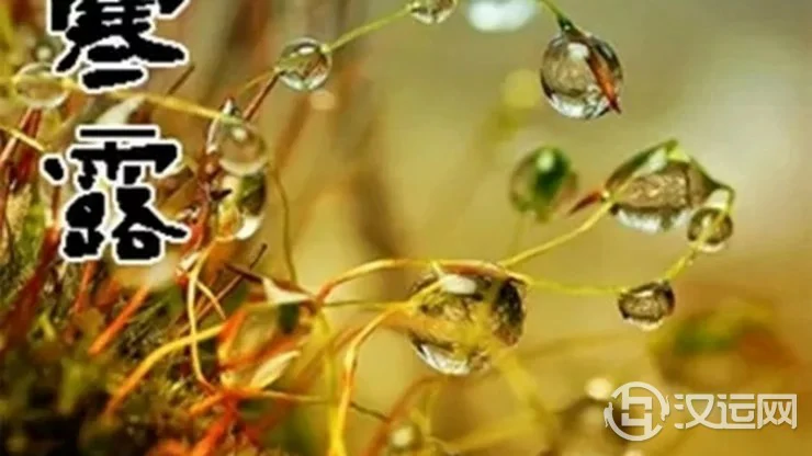 详解二十四节气——寒露 详解二十四节气——寒露