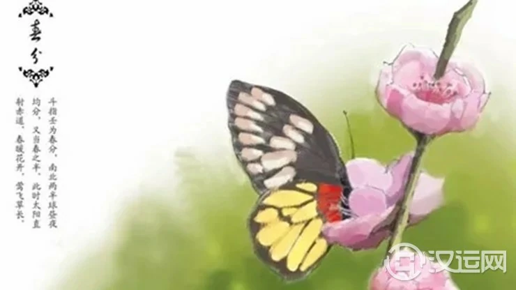 详解二十四节气——春分 详解二十四节气——春分