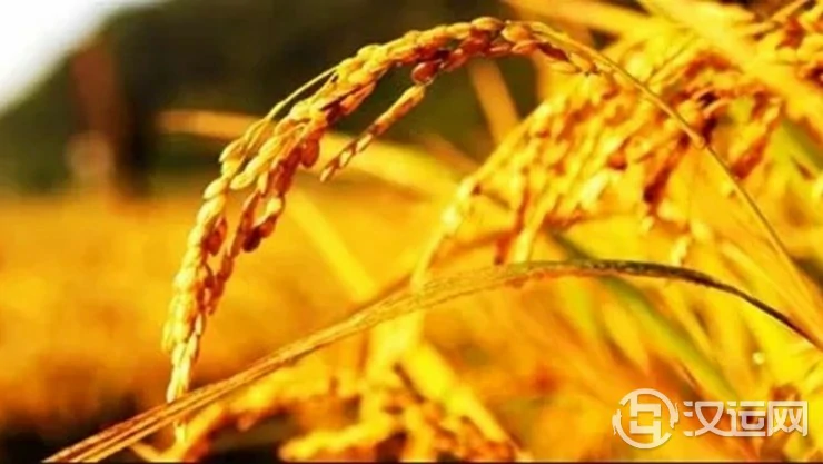 立秋之后哪些人运势波动大 立秋之后哪些人运势波动大