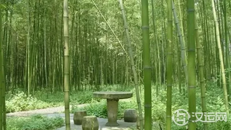 哪些植物不适合在院子里种植 哪些植物不适合在院子里种植