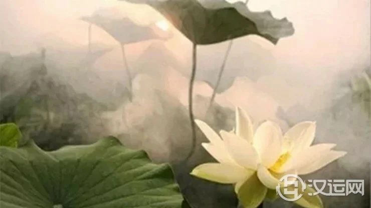 一生福报多多的生肖 一生福报多多的生肖