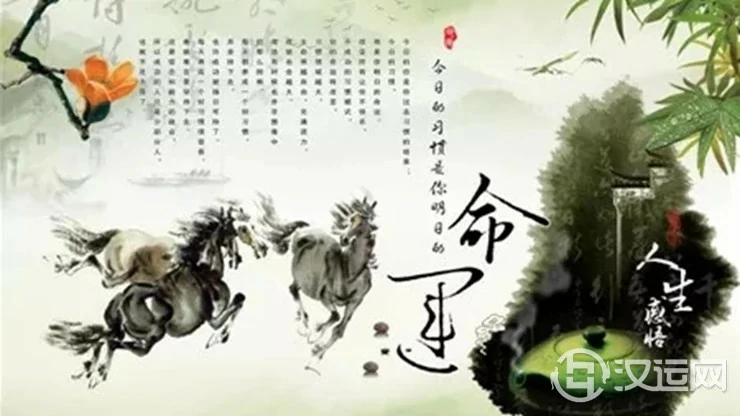 你所不知道的命运的另一面 你所不知道的命运的另一面