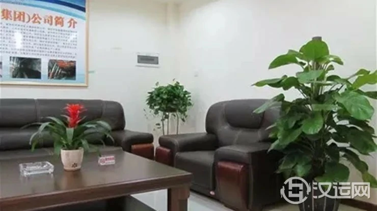 办公室里最适合养什么植物和花卉? 办公室里最适合养什么植物和花卉?