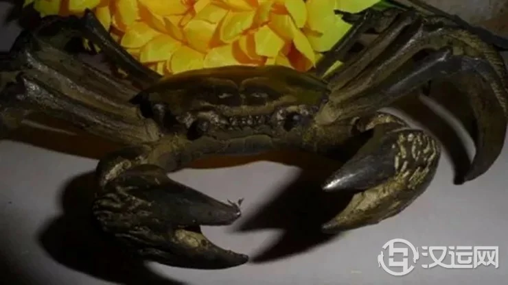 可旺横财运的风水吉祥物——螃蟹 可旺横财运的风水吉祥物——螃蟹